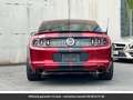 Ford Mustang GT Premium Tout compris hors homologation 4500e Rouge - thumbnail 14