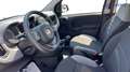 Fiat Panda Panda 1.0 firefly hybrid City Life s Blu/Azzurro - thumbnail 11