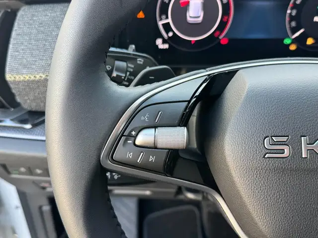 Skoda Kodiaq Selection 2.0 TSI 4x4 7 Sitzer Anhängerkupplung... Ansicht 10