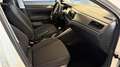 Volkswagen Polo 1.0 TSI Advance DSG 70kW Blanco - thumbnail 6