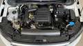 Volkswagen Polo 1.0 TSI Advance DSG 70kW Blanco - thumbnail 10