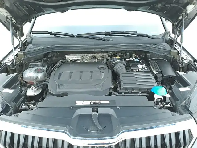 Skoda Kodiaq view 13