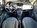 Fiat 500 NEOPATENTATI MOTORE NUOVO! 1.2 Bianco - thumbnail 12