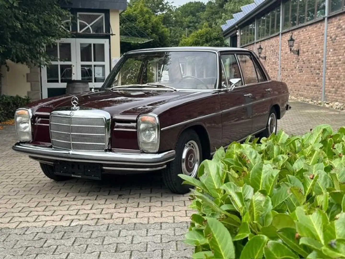 Mercedes-Benz 220 220 D perfekter Zustand / 8 W 115 Mauve - 1