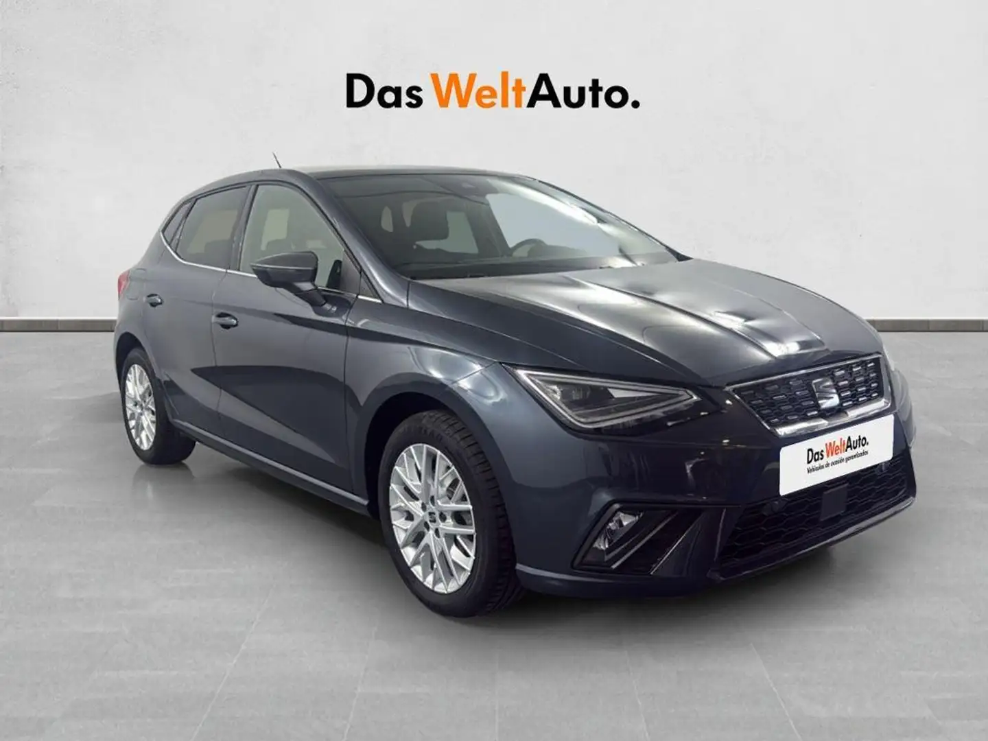 SEAT Ibiza 1.0 TSI S&S Special Edition 115 Gris - 1