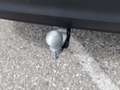 Volkswagen Tiguan Friends eTSI DSG Grau - thumbnail 26