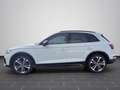 Audi Q5 SUV 40 TDIe quattro MATRIX-LED PANO NAVI SHZ Blanc - thumbnail 7