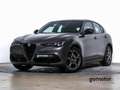 Alfa Romeo Stelvio SPRINT AUTO 2.2 JTD AT8 160 5P Grau - thumbnail 1