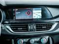 Alfa Romeo Stelvio SPRINT AUTO 2.2 JTD AT8 160 5P Grau - thumbnail 21
