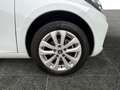 Renault ZOE Z.E. 50 R110 Experience Weiß - thumbnail 18