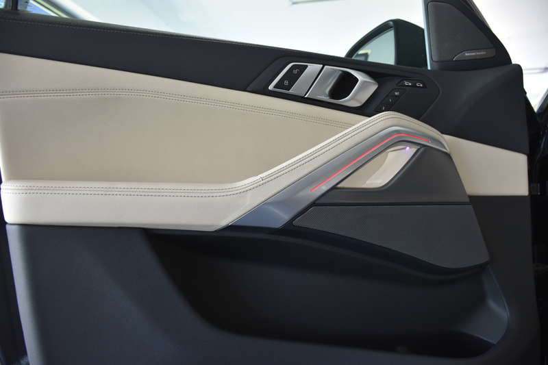 BMW X6 xDrive 40d X-LINE(G06)"PANO SKY LOUNGE"LEDER BEIGE"ACC"LASER" — photo 14