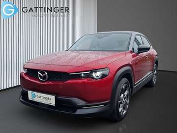 35,5kWh GTE+ Premium Vintage/Tech