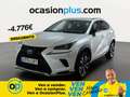 Lexus NX 300 300h Business Navigation 2WD Weiß - thumbnail 1