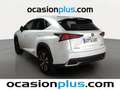 Lexus NX 300 300h Business Navigation 2WD Weiß - thumbnail 3