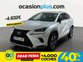 Lexus NX 300 300h Business Navigation 2WD Weiß - thumbnail 1