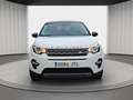 Land Rover Discovery Sport 2.0TD4 SE 4x4 Aut. 150 Blanco - thumbnail 5