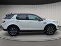 Land Rover Discovery Sport 2.0TD4 SE 4x4 Aut. 150 Blanco - thumbnail 6
