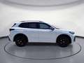 Volkswagen Tiguan 2.0 TDI DSG 4Motion R-Line AHK Pano HUD Weiß - thumbnail 6