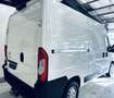 Citroen Jumper 2.2 L2H2 *50.228KM* 3 PLACES CAMERA PDC NAVI CLIM Blanc - thumbnail 6