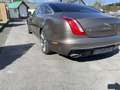 Jaguar XJ Portfolio Braun - thumbnail 2