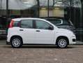 Fiat Panda 1.2 Popstar | Airco Wit - thumbnail 7