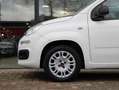 Fiat Panda 1.2 Popstar | Airco Wit - thumbnail 11
