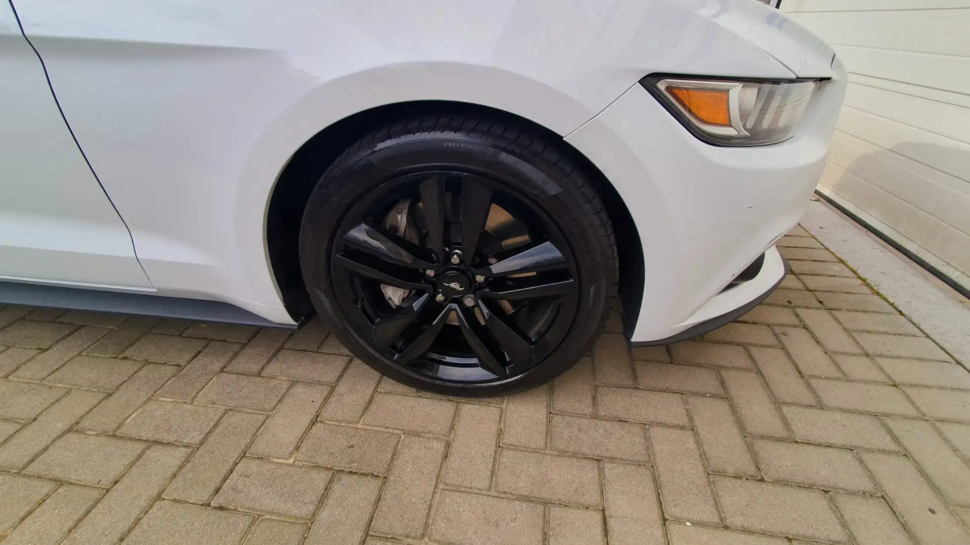 Ford Mustang Mustang 2.3 EcoBoost Blanc - 1