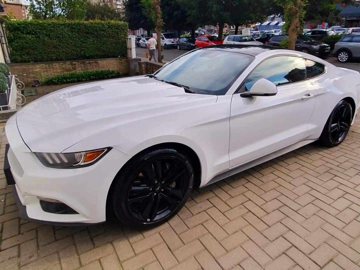 Ford Mustang Mustang 2.3 EcoBoost Blanc - 2