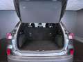 Ford Kuga 2.0 EcoBlue 120 CV aut. 2WD Titanium X Grigio - thumbnail 13