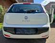 Fiat Punto Punto - 3 -Türer 1.2 8V Active Start Weiß - thumbnail 3