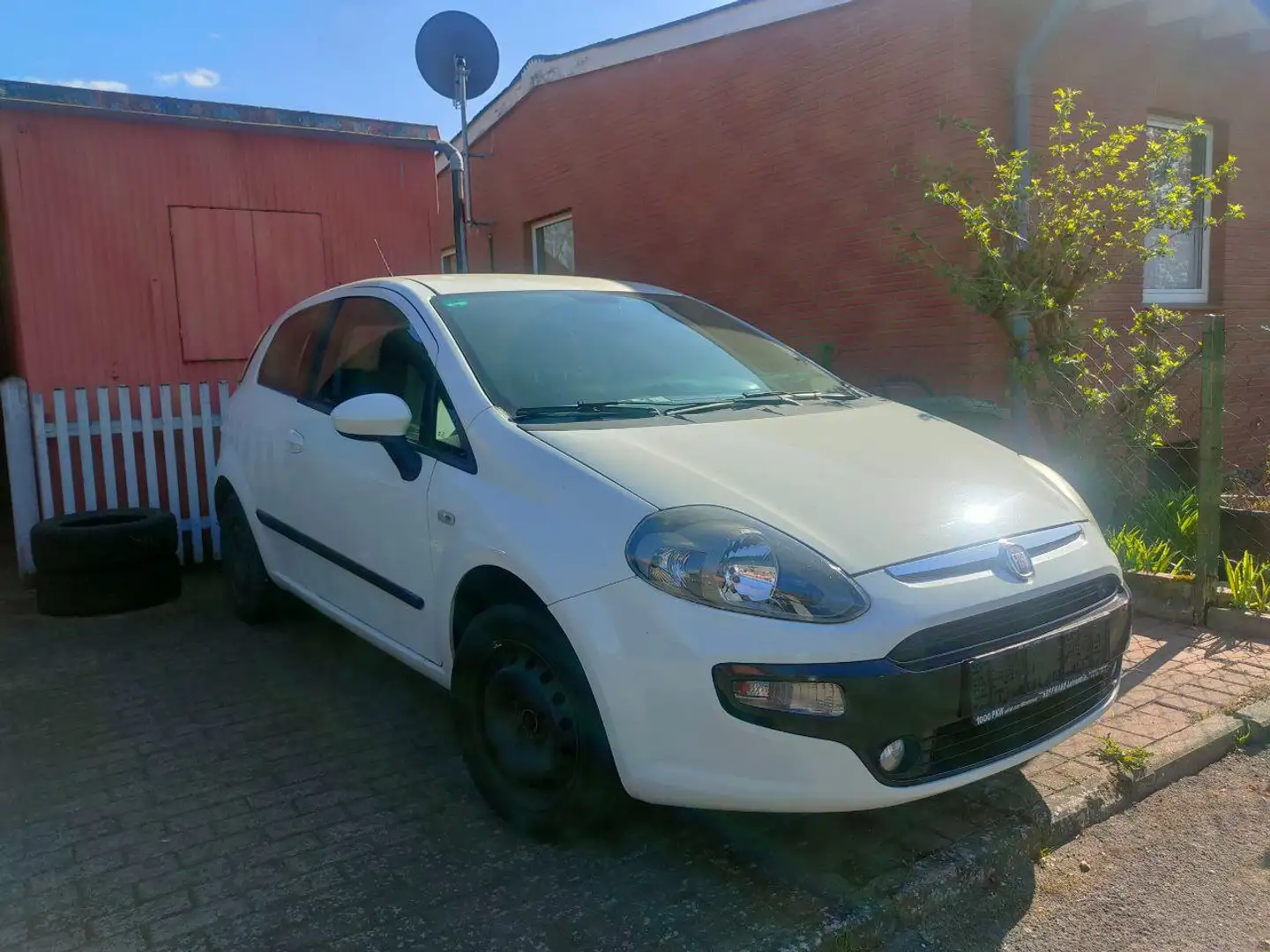 Fiat Punto Punto - 3 -Türer 1.2 8V Active Start Weiß - 1