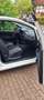 Fiat Punto Punto - 3 -Türer 1.2 8V Active Start Weiß - thumbnail 6