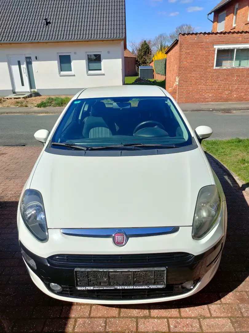 Fiat Punto Punto - 3 -Türer 1.2 8V Active Start Weiß - 2