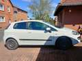 Fiat Punto Punto - 3 -Türer 1.2 8V Active Start Weiß - thumbnail 4