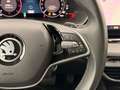 Skoda Octavia Kombi 2,0 TDI Selection DSG Grau - thumbnail 17