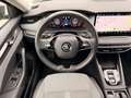 Skoda Octavia Kombi 2,0 TDI Selection DSG Grau - thumbnail 18