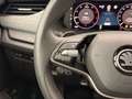Skoda Octavia Kombi 2,0 TDI Selection DSG Grau - thumbnail 16