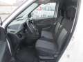 Fiat Doblo Doblò 1.6 MJT 105CV Cargo Maxi 3 Posti Weiß - thumbnail 10