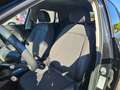 Audi Q2 35 TFSI Sportlich und Bequem! Schwarz - thumbnail 12