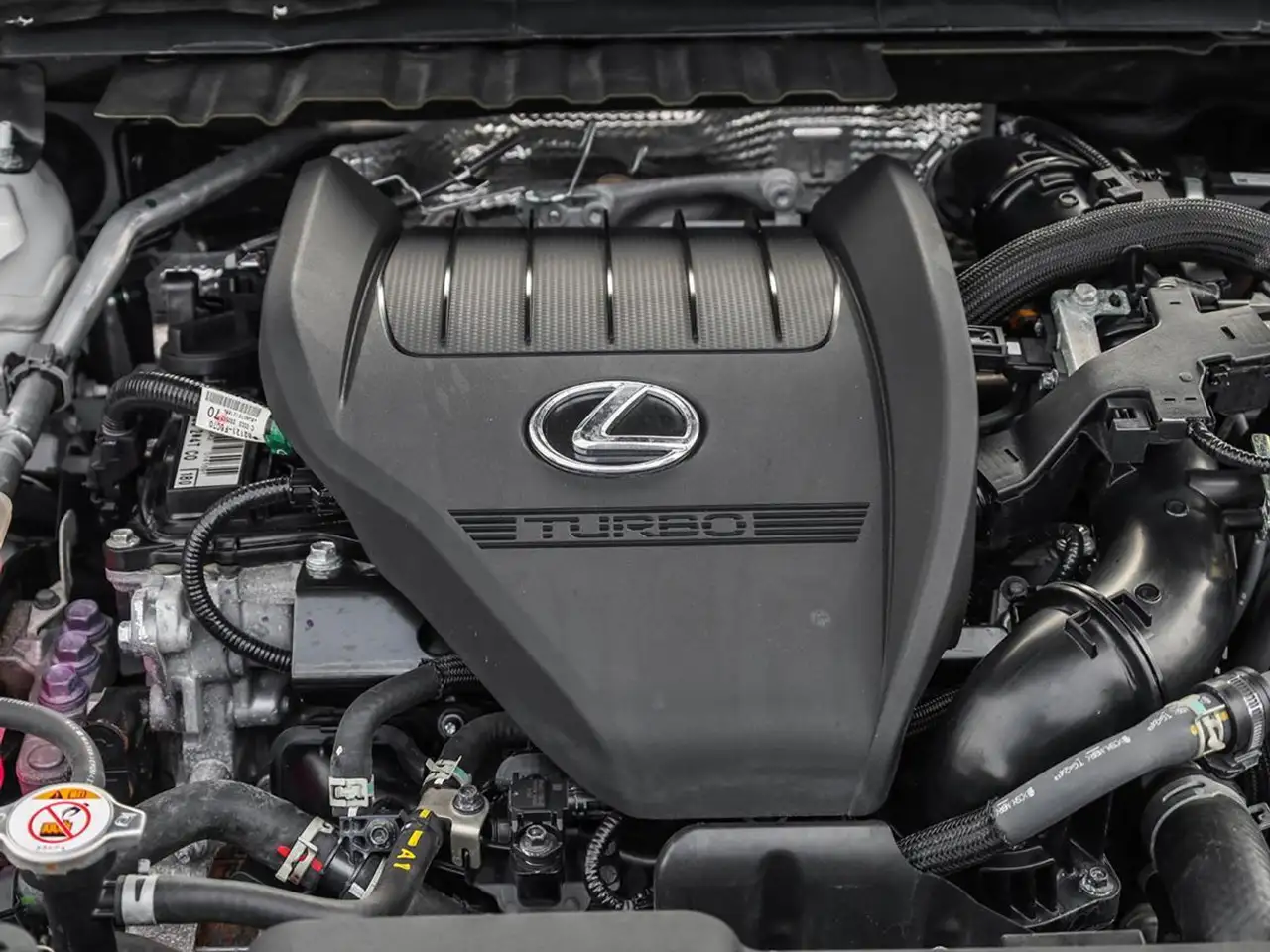 Lexus NX fotografie Lexus NX