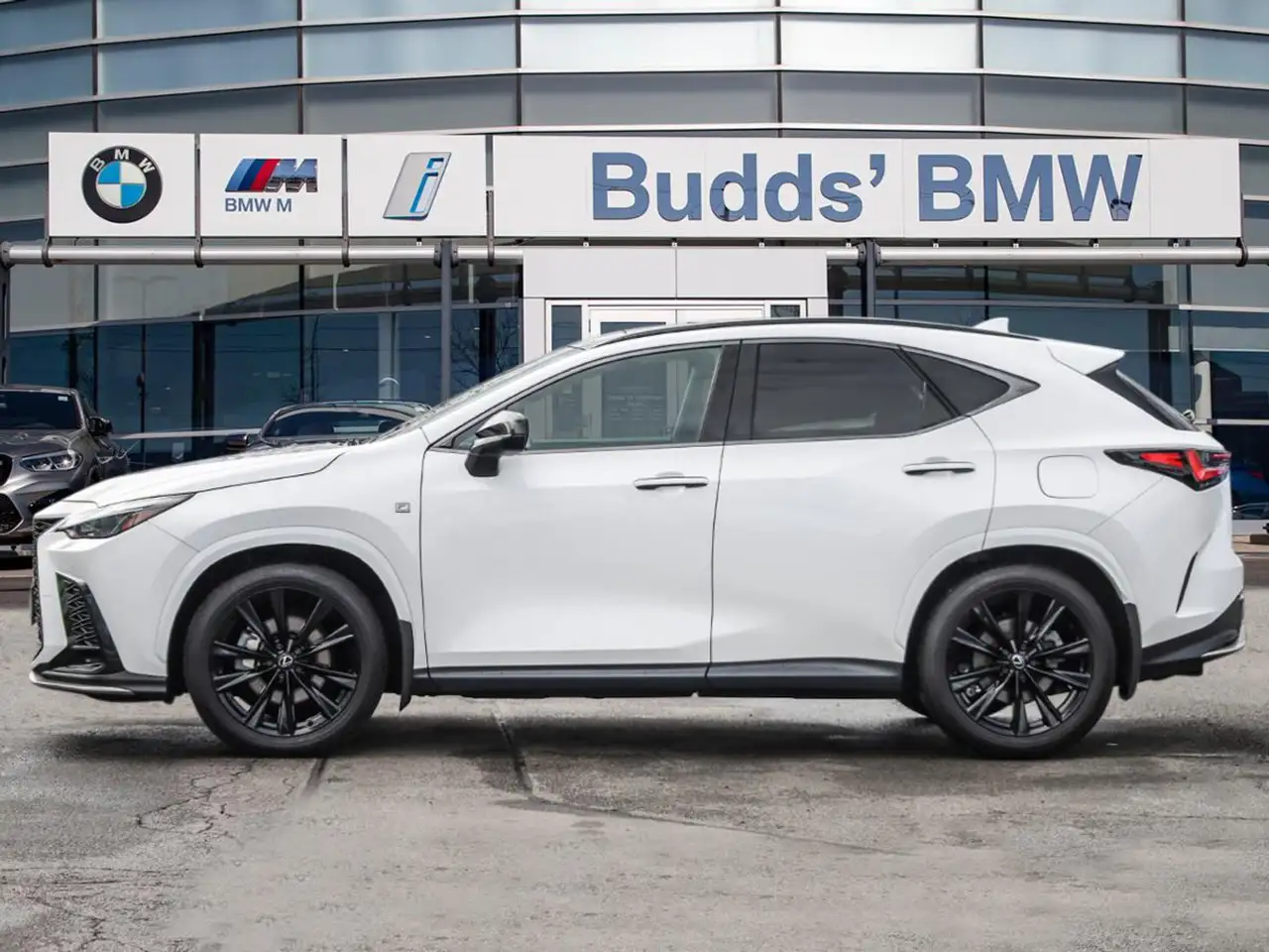 Lexus NX fotografie Lexus NX