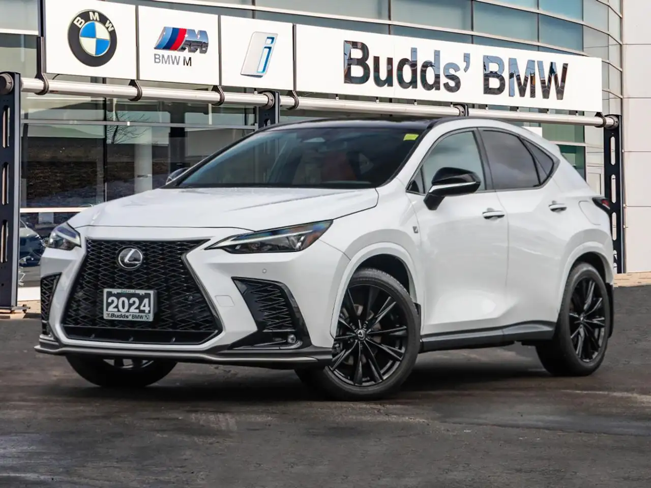 2024 Lexus NX