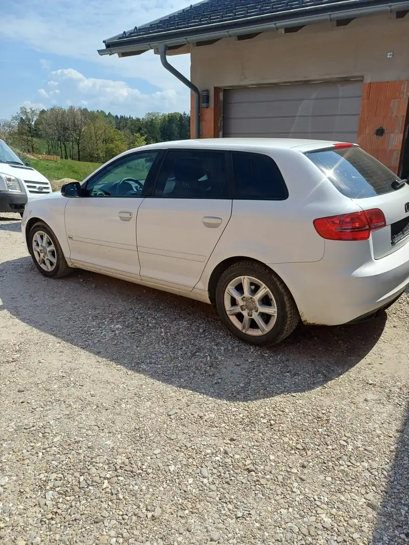 Audi A3 A3 SB Ambiente 1,6 TDI DPF Ambiente Weiß - 2