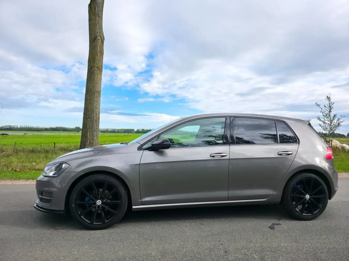 Volkswagen Golf 1.0 TSI Comfortline Gris - 2