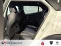 Peugeot 2008 GT PureTech 130 EAT8 *NAV*SHZ*CAM*LED*PDC*A Weiß - thumbnail 8