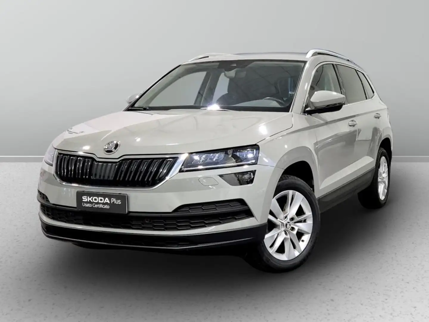 Skoda Karoq 2.0 tdi evo scr S-Tech 115cv dsg Grigio - 1