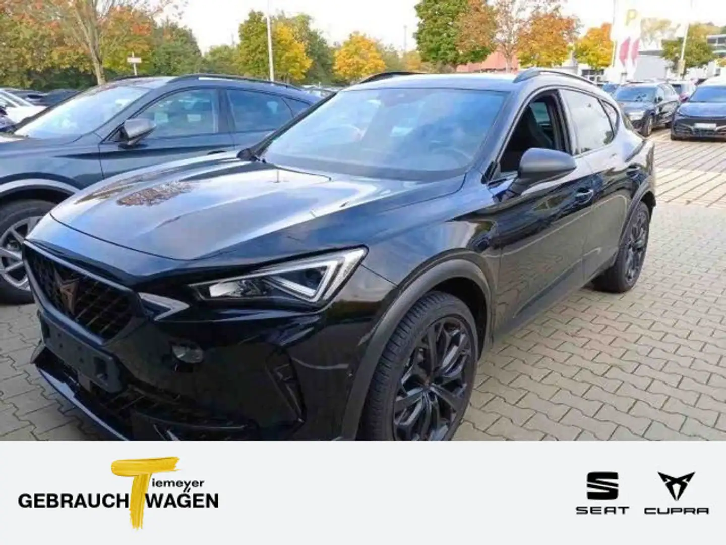 CUPRA Formentor VZ 2.0 TSI TRIBE EDITION LM19 SIDE-ASS Schwarz - 1