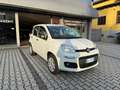 Fiat Panda 0.9 TwinAir Turbo Natural Power Easy Blanc - thumbnail 6