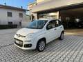 Fiat Panda 0.9 TwinAir Turbo Natural Power Easy Blanc - thumbnail 1