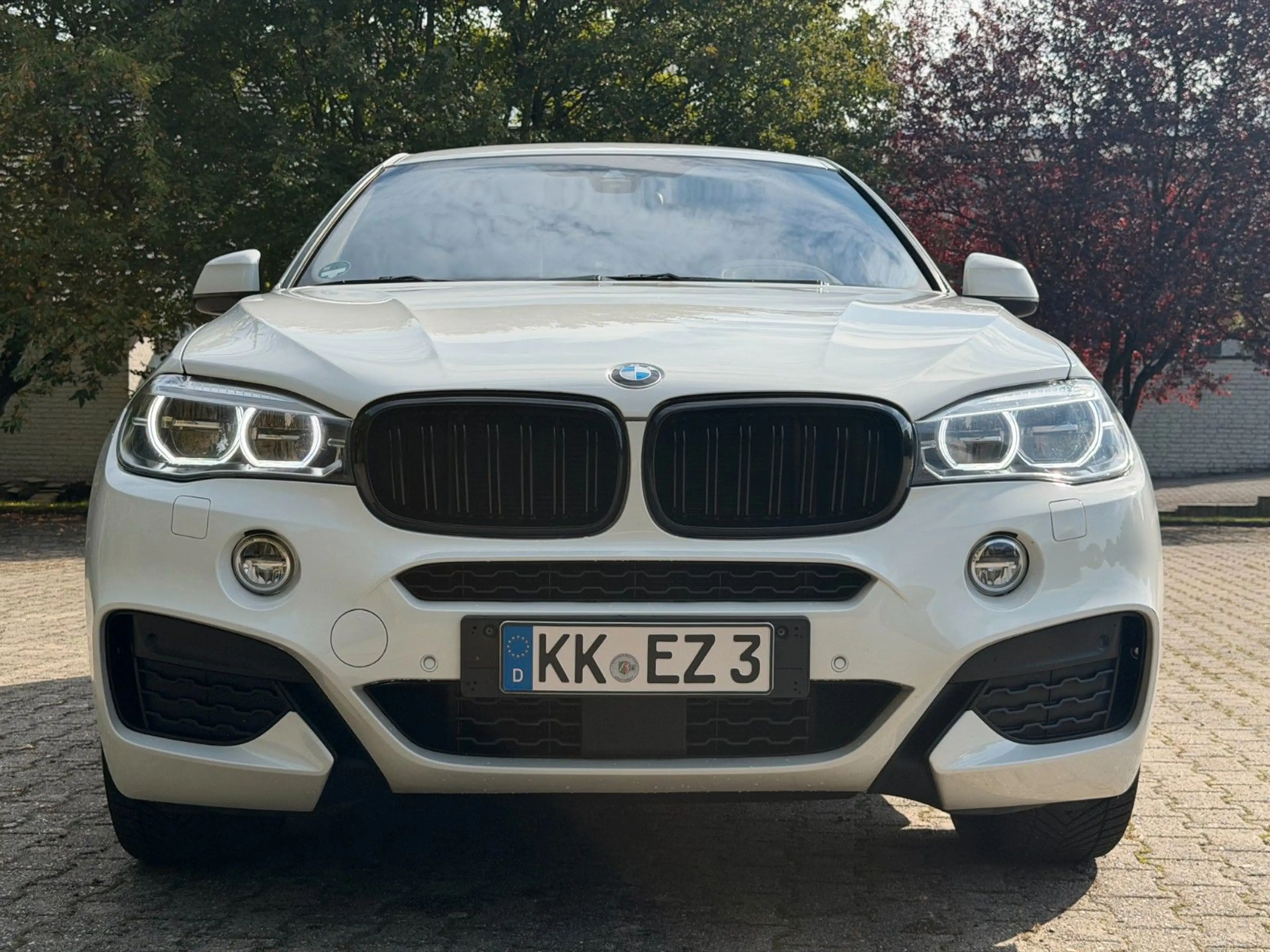 BMW X6 xDrive 30 d M -Paket Kamera Pano AHK — photo 7